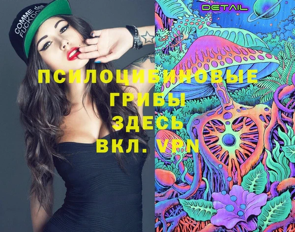 дмт Белокуриха