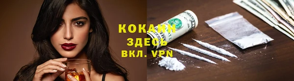 дмт Белокуриха