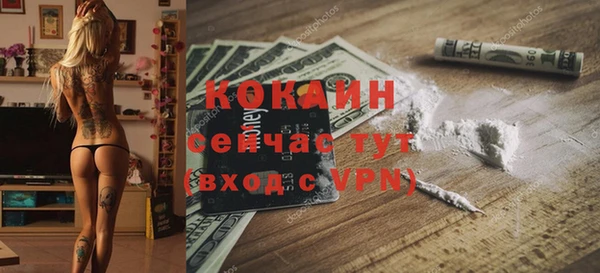 дмт Белокуриха