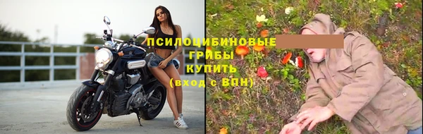 дмт Белокуриха