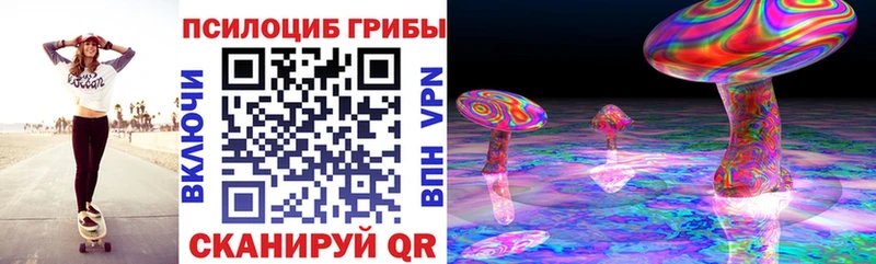 нарко площадка состав  Красный Холм  Галлюциногенные грибы Cubensis 