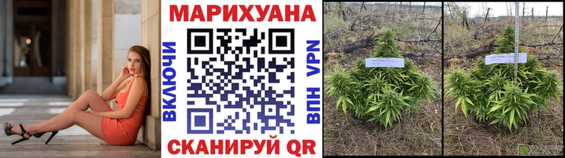 Шишки марихуана Ganja Красный Холм